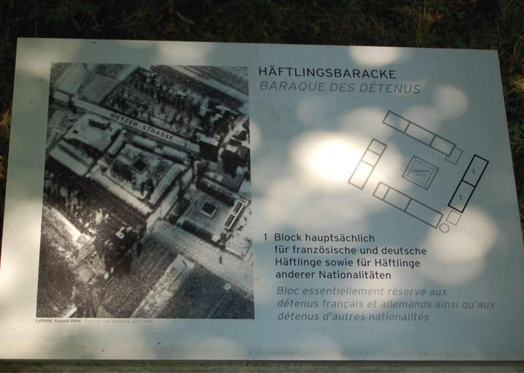 Programm_Alternativer_Stadtrungang